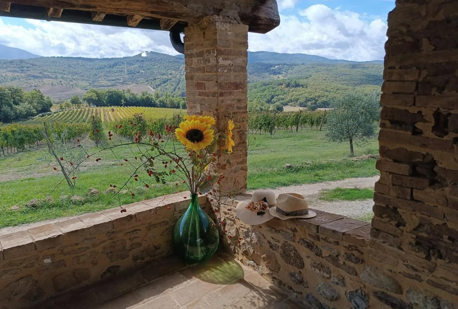 Casa di campagna Podere Cerciano Radicondoli