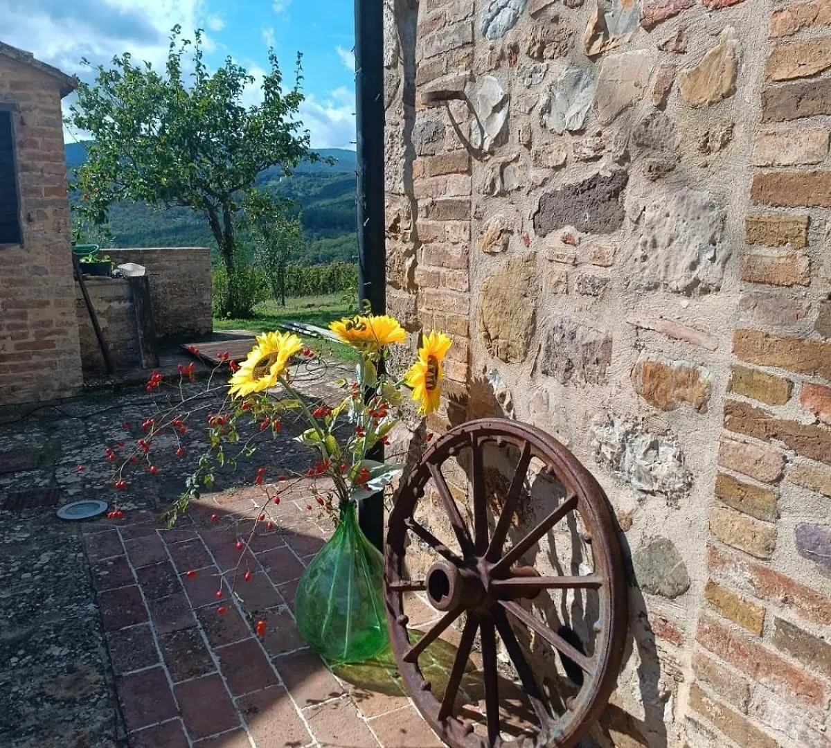 Podere Cerciano Radicondoli 0*,