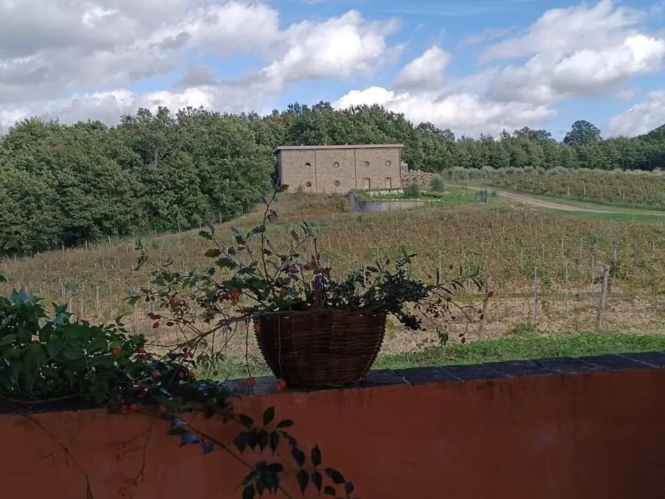 Podere Cerciano Radicondoli