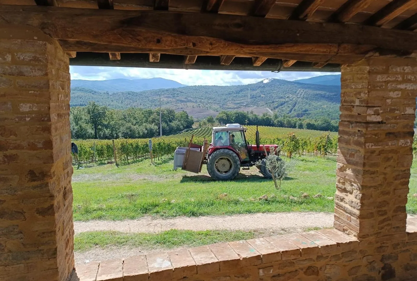 Podere Cerciano Radicondoli Italia