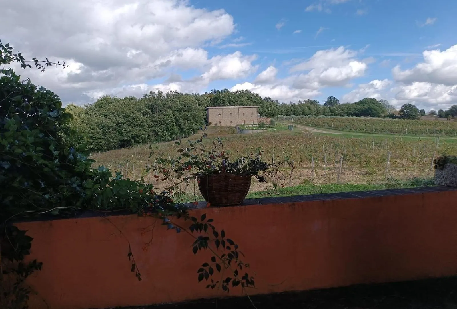 Podere Cerciano Radicondoli Casa di campagna