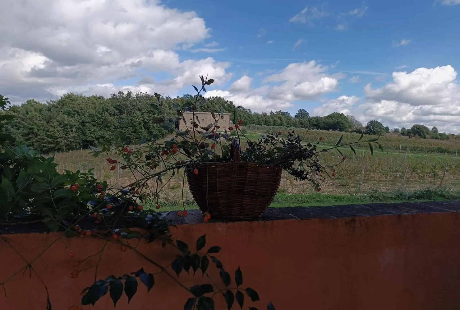 Casa di campagna Podere Cerciano Radicondoli Italia
