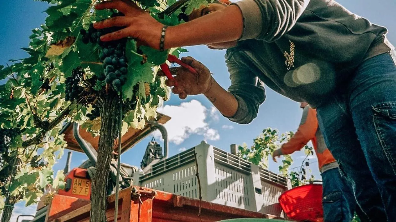 Casa di campagna Podere Cerciano Radicondoli