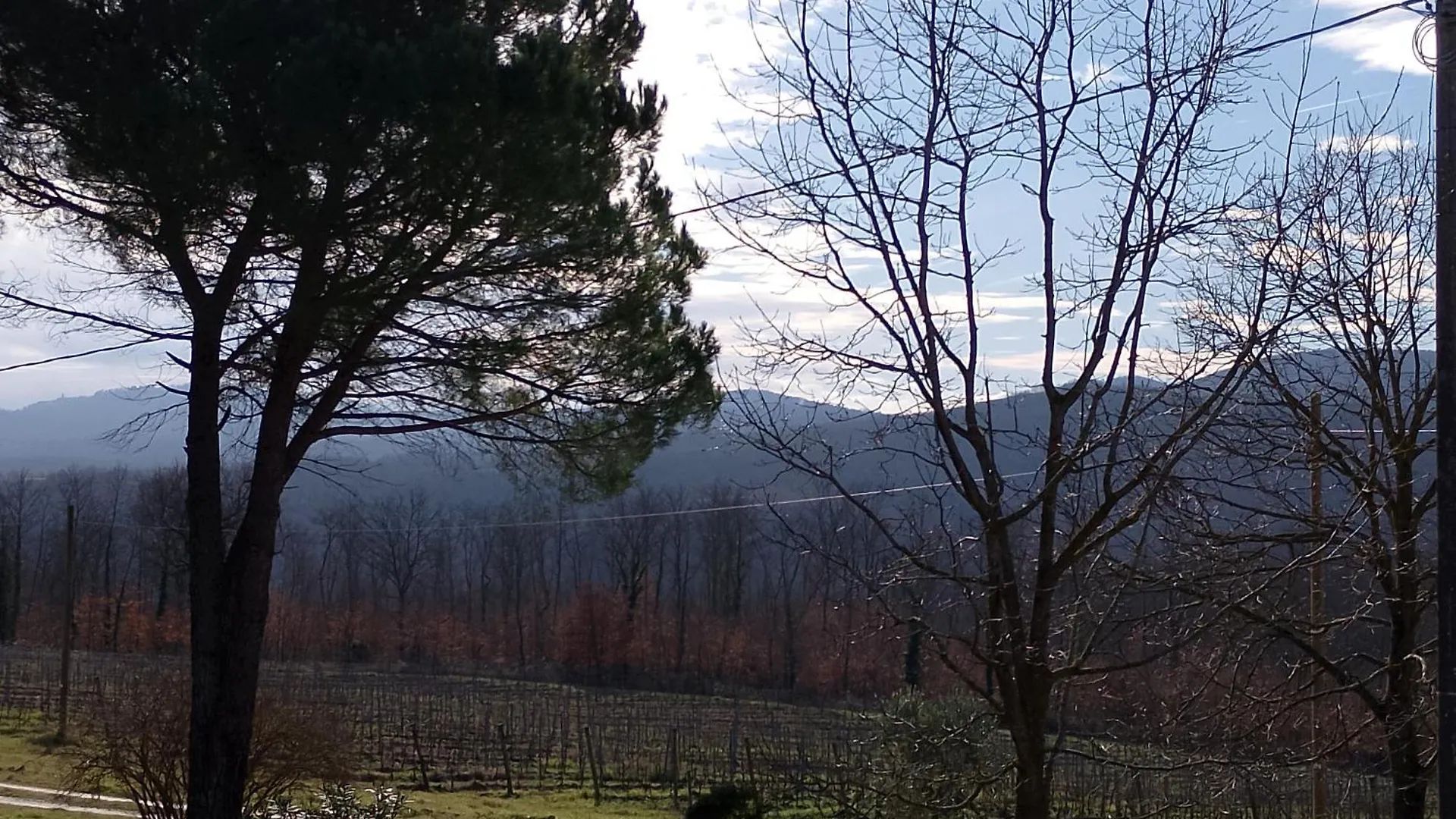 Podere Cerciano Radicondoli Italia
