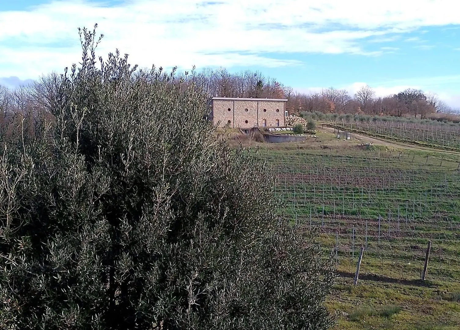 Casa di campagna Podere Cerciano Radicondoli Italia